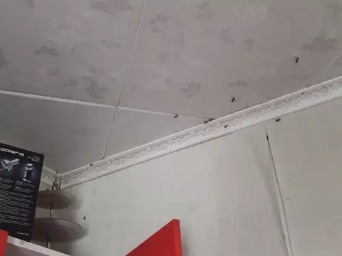 Полна коробочка!